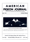 Magazine Cover